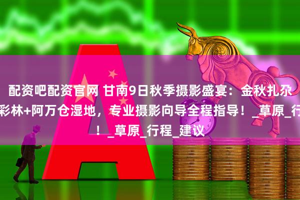 配资吧配资官网 甘南9日秋季摄影盛宴：金秋扎尕那+玛曲彩林+阿万仓湿地，专业摄影向导全程指导！_草原_行程_建议